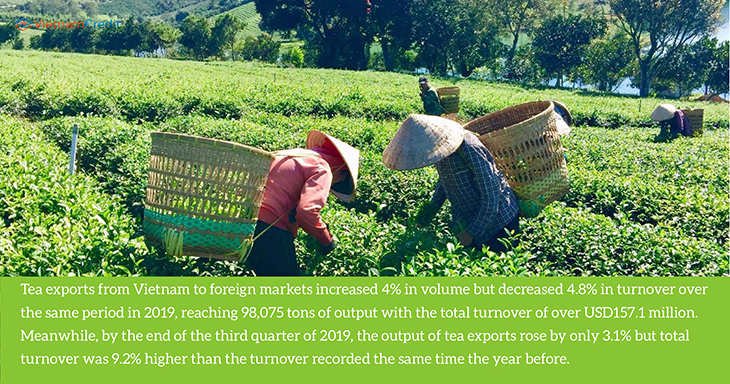 Vietnam Tea Export 2019